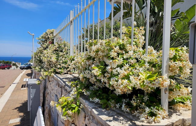 Residenza Lamandia in Capitolo - Foto 13