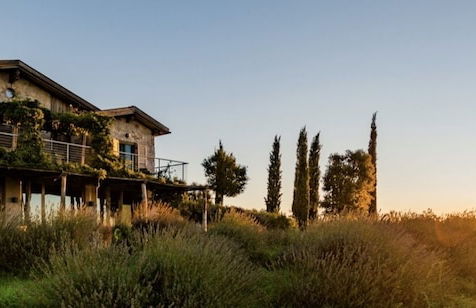 Valdonica Winery & Vineyard Residence - Foto 67