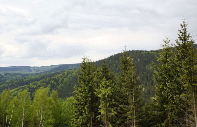 Holiday Home in Pernink in a Beautiful Mountainous - Foto 20