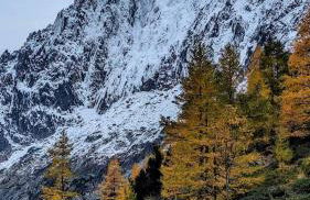 Happy Moose - Cosy Mont Blanc View apartment with sauna - Photo 43