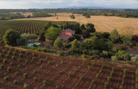 La casa di Francesco Incantevole casale di campagna with pool piscina - Foto 3