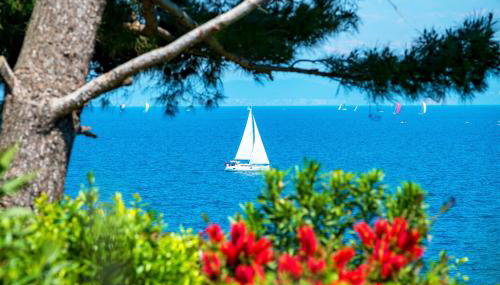 Casa Ana Istria 2 & 3 - Foto 5, Garden