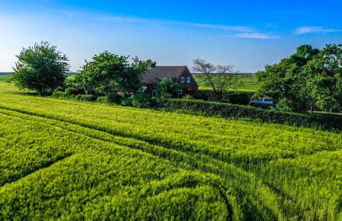 Polderhaus Deichblick direkt am Dullart - Foto 15