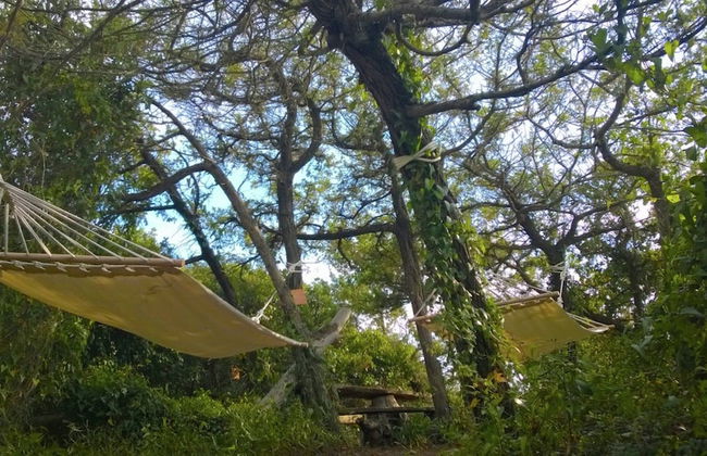 Charm in Castagneto Carducci - Foto 27