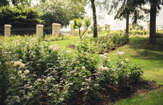 Schloss Thalheim - Photo 51