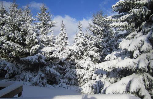 Haus Alexander - Foto 16