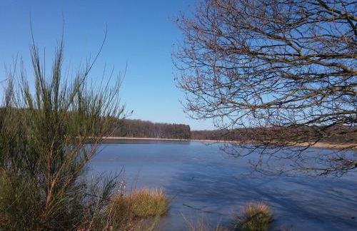 Ferienwohnung Reuter - Foto 10
