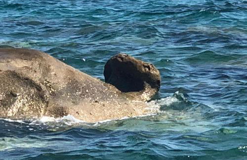 Villa mare panoramica Estia - Foto 40