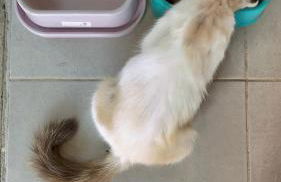 Flats Um Sonho De Liberdade - Photo 27