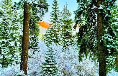 Honey Bear Cabin - Foto 30