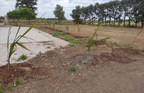 Villetta della Pace nel cuore del Salento - Foto 8