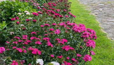 Hotel-Apartamento Rural Atxurra - Foto 3