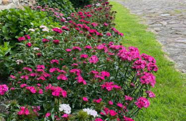 Hotel-Apartamento Rural Atxurra - Foto 3