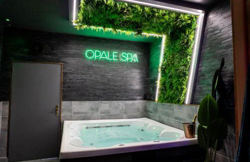 Opale Spa - Jacuzzi et sauna privatifs - Foto 1