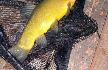 Jaromierz Dom nad jeziorem - Foto 22