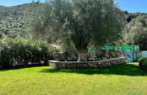 PargaLand Studios & Apartments - Photo 66