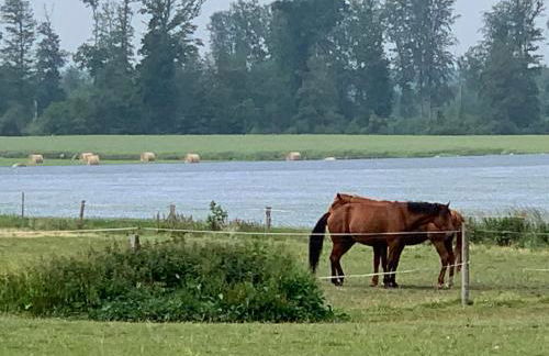 L'appel de la foret - Foto 13