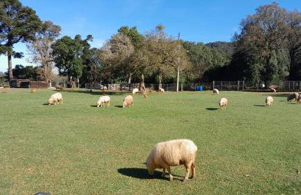 Quinta da Boa Vista São Chico - Foto 72