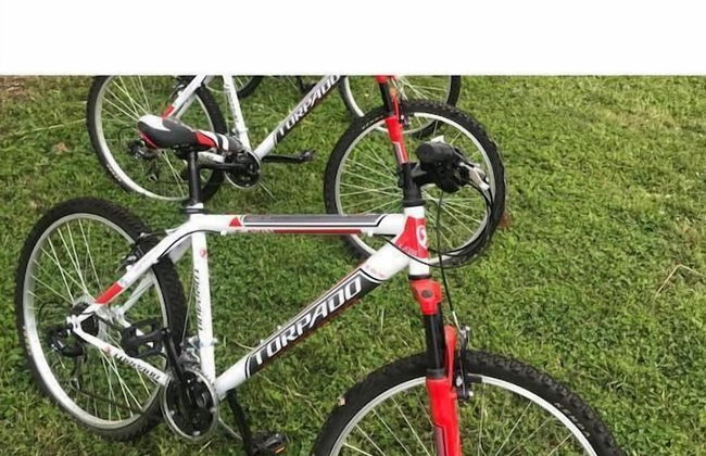 Sole di Sicilia - Foto 20