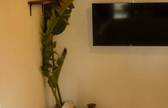 La Paredita Casa Acentejo - Foto 22