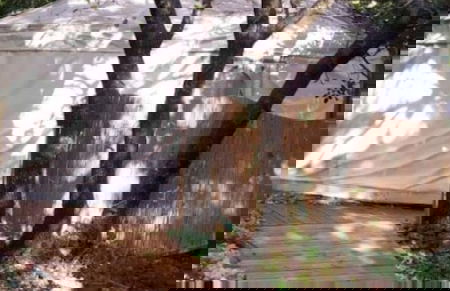 Yurt Located in a Little oak Grove - Foto 16