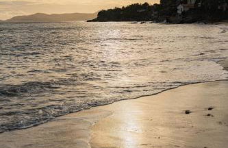 Les Sarments - Foto 14