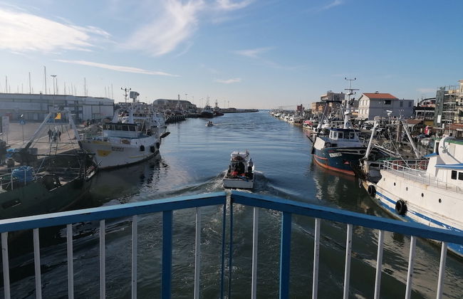 Mamita Villas-sea,sand,relax - Foto 19