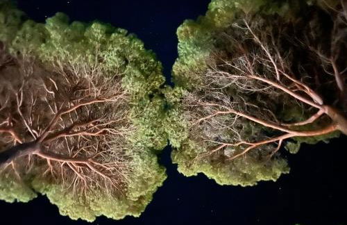 Dimora Punta Ala - Foto 35