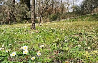 La Gesualda locazione turistica - Foto 50