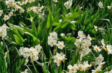 The Garden Flat - Ardullie Lodge - Photo 16