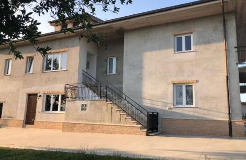 Palme e vigne - Foto 1