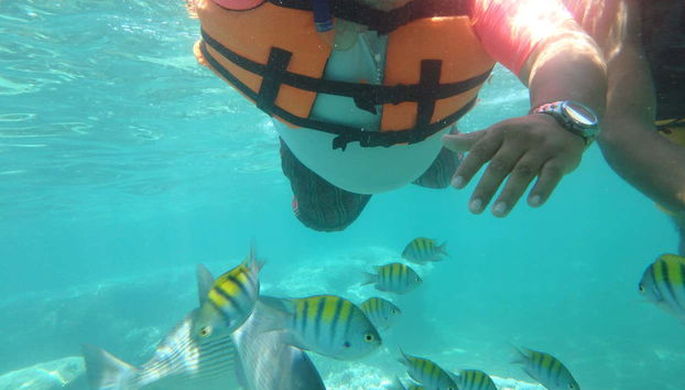 Snorkel na praia Las Gatas