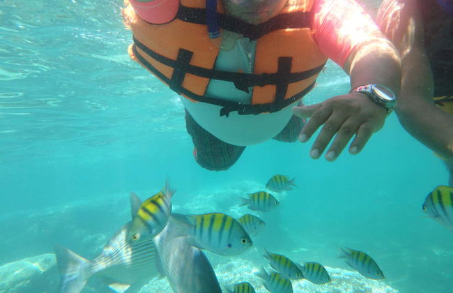 Zihuatanejo Bay Kayaking & Snorkelling - Photo 5