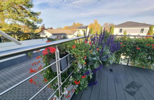 PalatinaZeit - WEINblick - Ferienwohnung im Haus Petry - Freinsheim - Pfalz - Foto 5