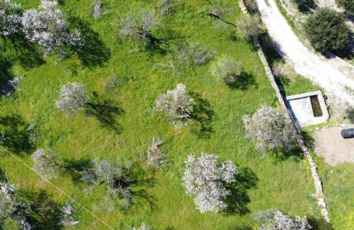 George Farmhouse - Foto 65