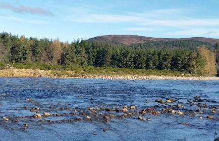 Fairdene Cottage - Foto 28