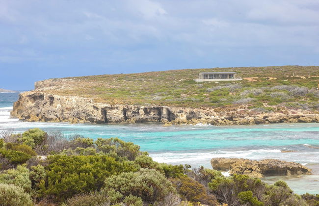 Hanson Bay Wildlife Sanctuary and Cabins - Photo 24