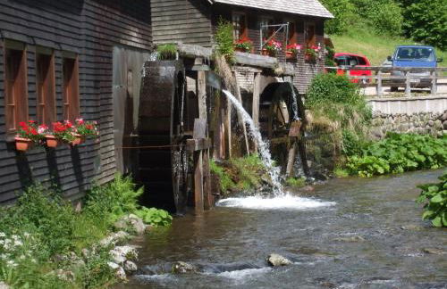 Ferienwohnung im Kappeler Wald - Photo 39