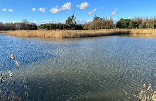 Lakeview Lodge - Foto 22