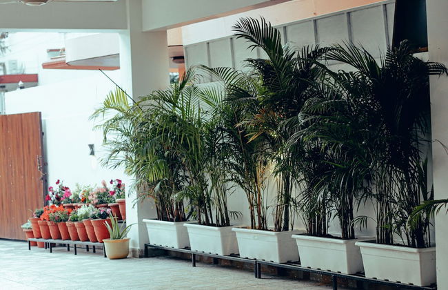 TIM Stayz Deharadun - Foto 54