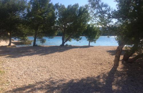 Apartments Maslina - Foto 12