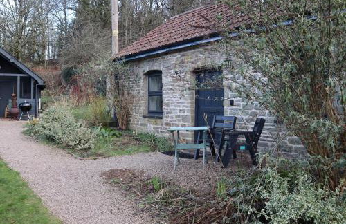 Horse Gin - Photo 25