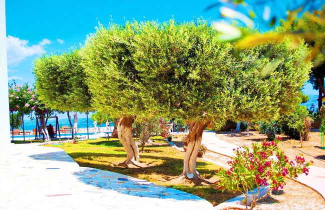 Villa Agnanti - Foto 33