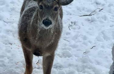 On Top Of Everything at Beech - Foto 10