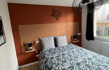 Beau Loft room proche mont saint Michel jaccuzi illimité en plein centre Avranches - Foto 25