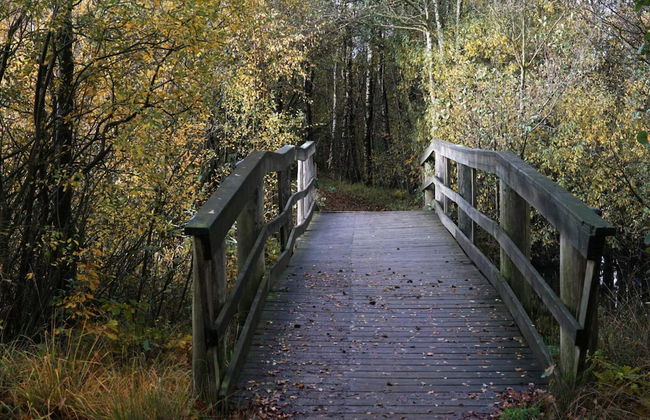 Luxury Lakeside Retreat-by Traum - Foto 22