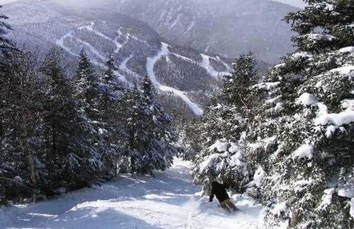 Spectacular Vermont Mountain Retreat! - Foto 35