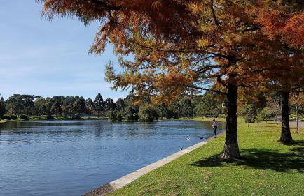 Fantástico Flat no Laje de Pedra Mountain Village - Foto 54