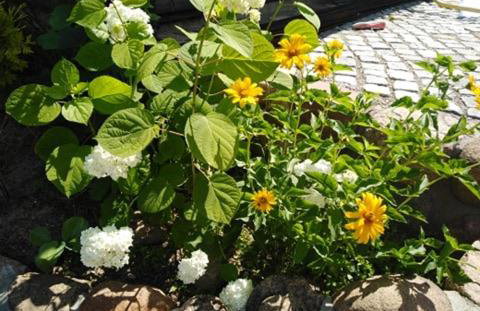 Drewniany Domek w Zakątku Andrzeje Śniczany 18 - Photo 31