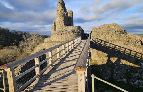 Honey Bee Cottage Tiny House Welshpool - Photo 6